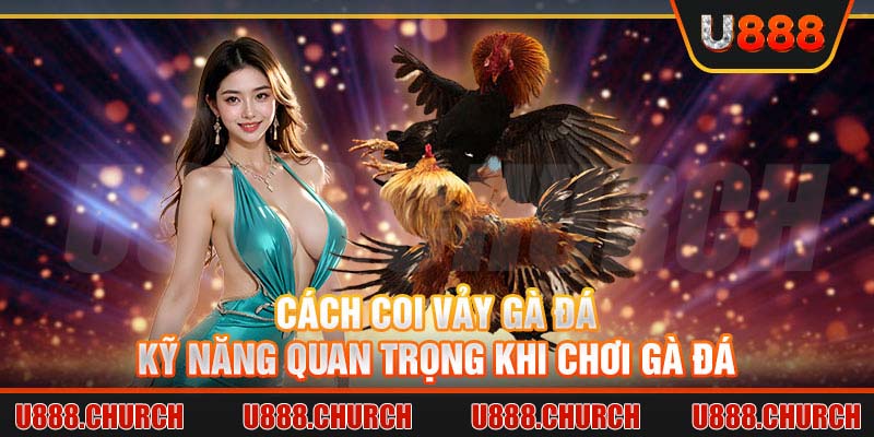 Cách coi vảy gà đá