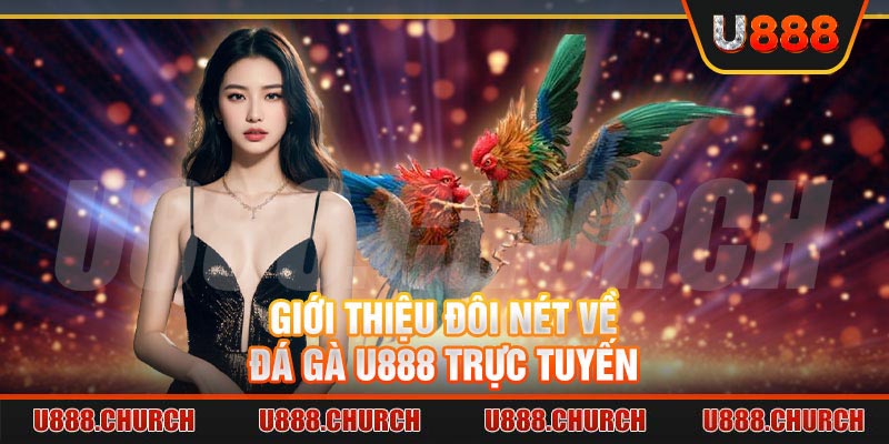 Giới thiệu đôi nét về đá gà U888 trực tuyến