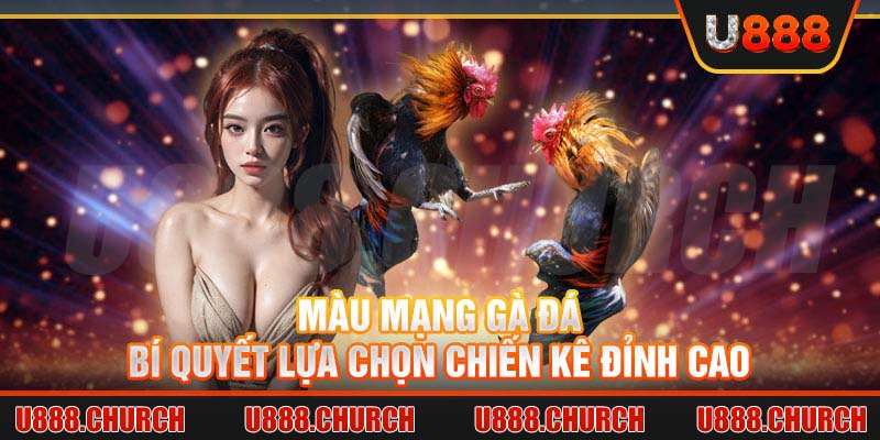 Màu mạng gà đá