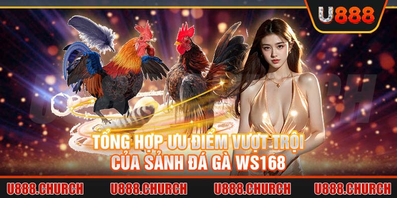 Tổng hợp ưu điểm vượt trội của sảnh đá gà Ws168 