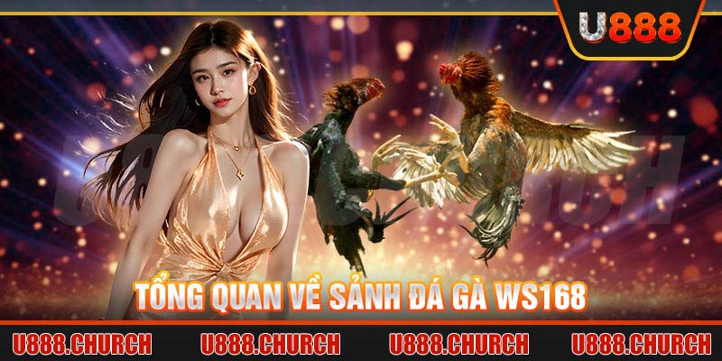 Tổng quan về sảnh đá gà Ws168