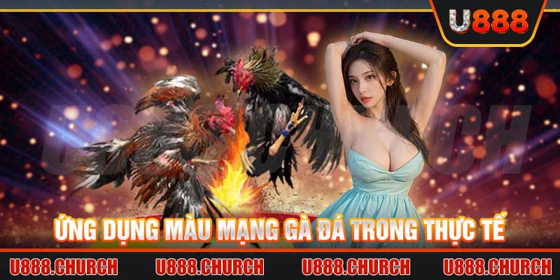 Ứng dụng màu mạng gà đá trong thực tế