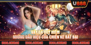 Vảy gà quý hiếm