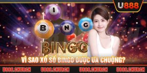 xổ số bingo